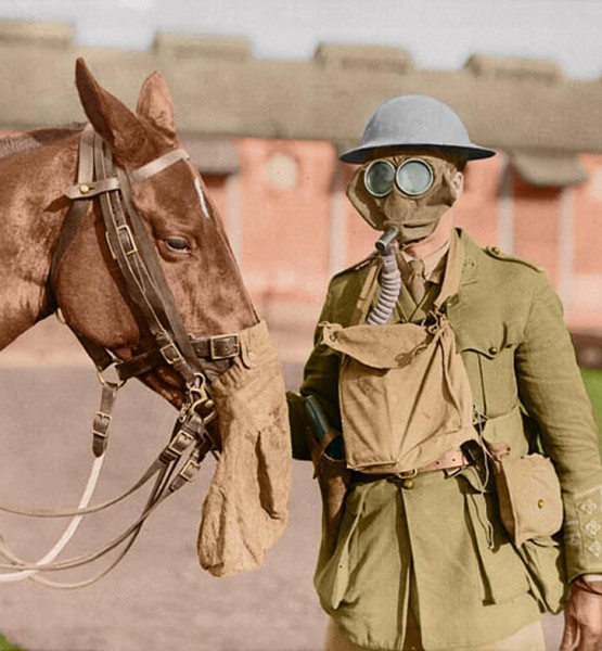 2-soldier-horse-gas-masks-canadian-army-veterinary-corps-ww1-colour