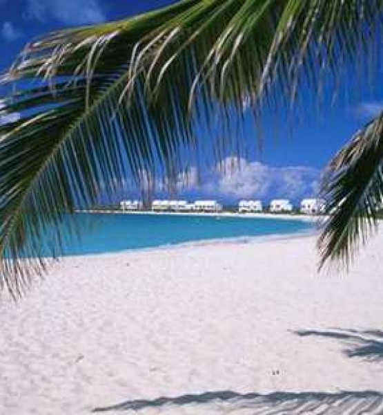 Anguilla adası