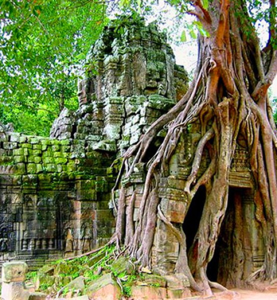 Dünyanın 8. harikası Angkor Wat 