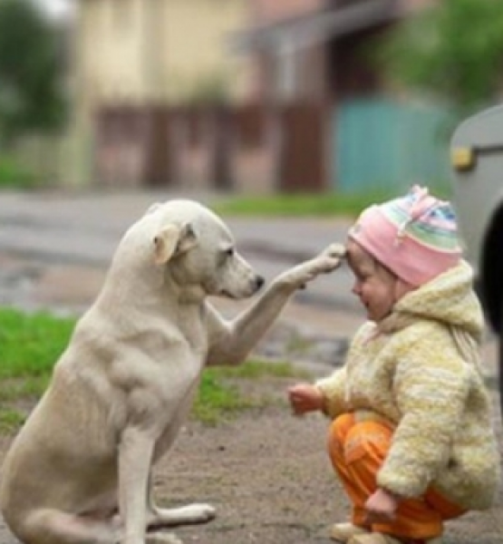 4 Ekim Dunya Hayvanlari Koruma Gunu Magazin Izmir