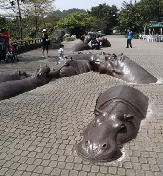 Hippopotam heykelleri, Taipei, Tayvan