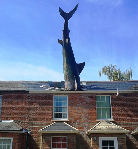 Köpekbalığı (The Shark), Oxford, İngiltere
