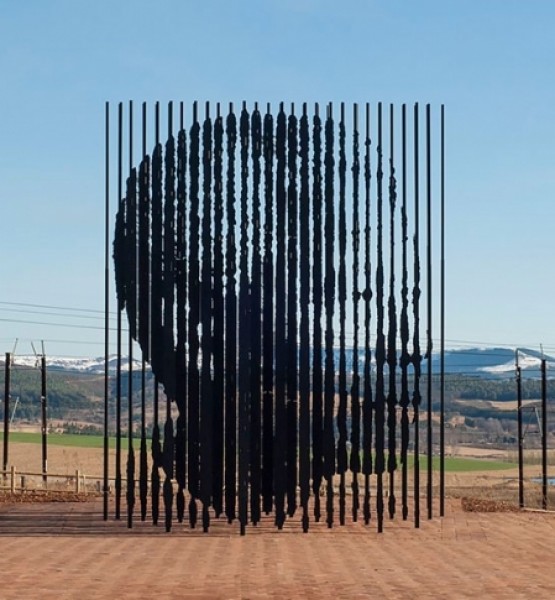 Nelson Mandela, Güney Afrika