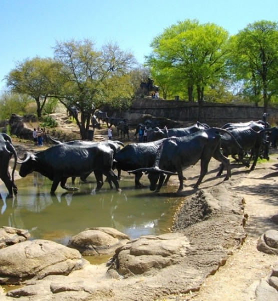 Sığır Geçişi, Dallas, Teksas, ABD